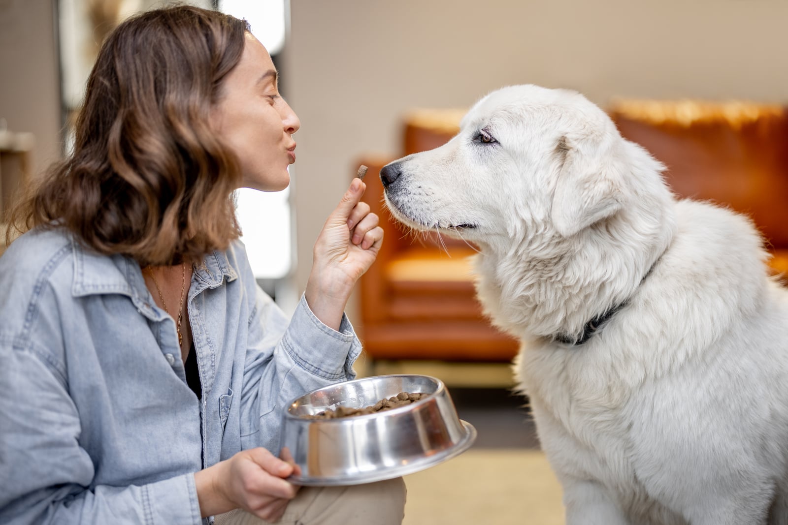 A woman offering a treat to a large white dog beside a bowl of food